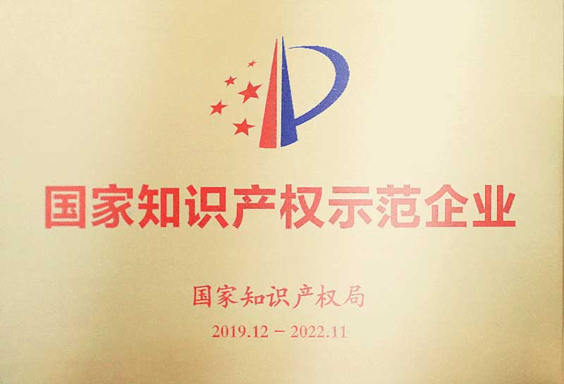 2019---国家知识产权示范企业小.jpg